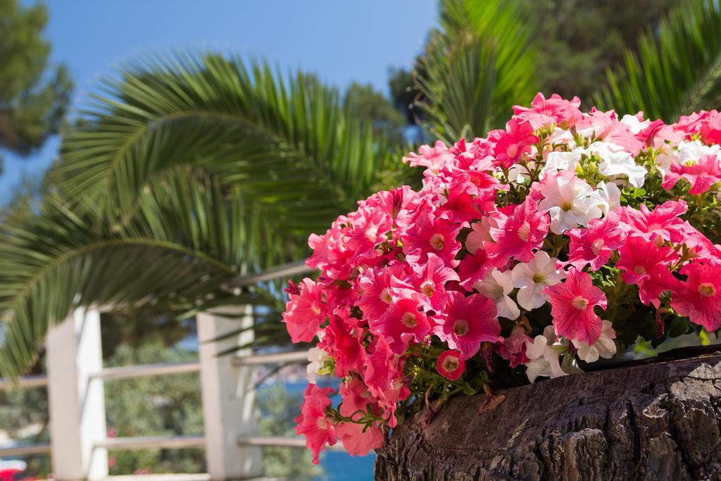 Apartments Villa Julija Mali Lošinj Buitenkant foto